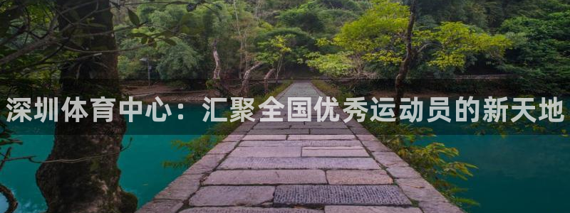 MK体育官方正版app集团简介：深圳体育中心：汇聚全