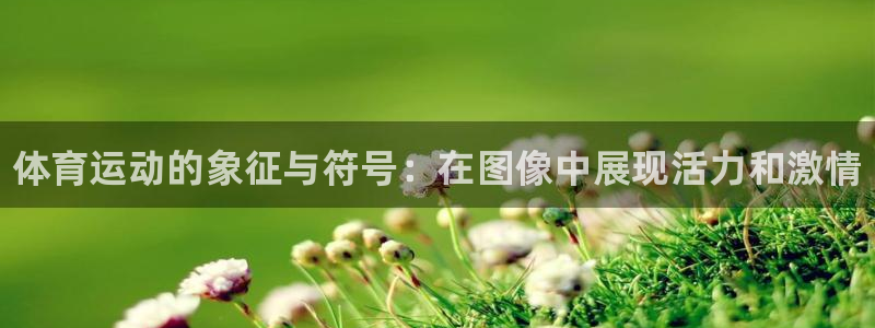 MK体育官方集团官网：体育运动的象征与符号：在图像中