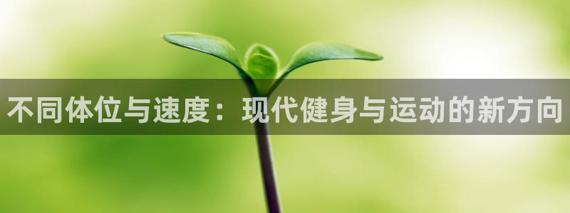 MK体育官方正版app代理：不同体位与速度：现代健身