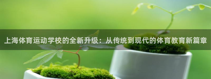 海南MK体育官网下载发展怎么样