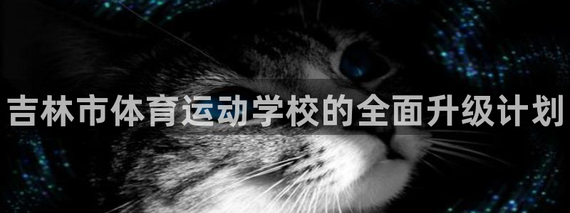 MK体育官网下载官方客服电话