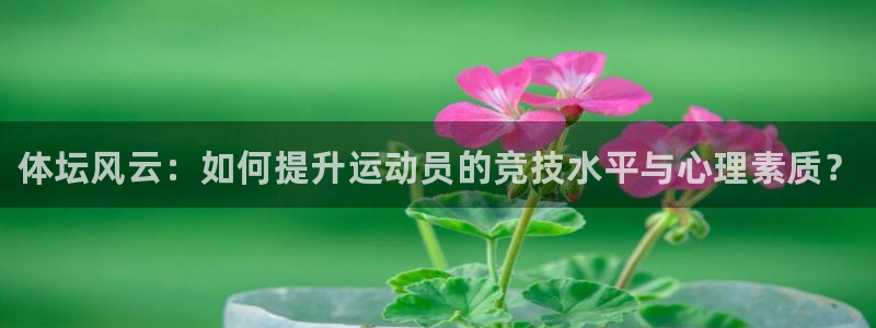 MK体育官网下载招商电话地址是多少：体坛风云：如何提升运动员