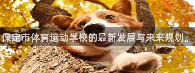 MK体育官方正版app开户：保定市体育运动学校的最新发展与未