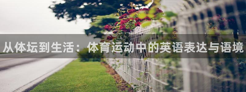 MK体育官方正版app集团官网首页网址：从体坛到生活：体育运