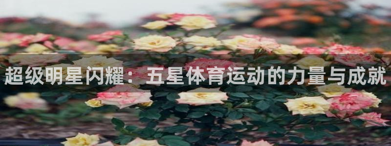 MK体育官网下载软件：超级明星闪耀：五星体育运动的力量与成就