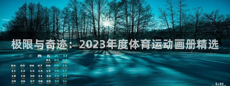 MK体育官网下载娱乐：极限与奇迹：2023年度体育运动画册精