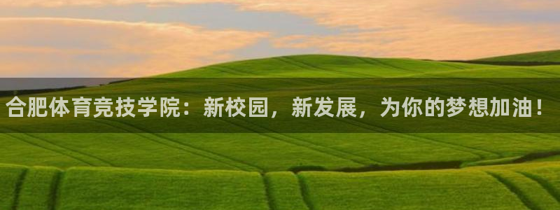 MK体育官方正版app娱乐首页官网下载：合肥体育竞技学院：新