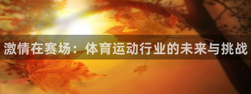 MK体育官方正版app娱乐网站：激情在赛场：体育运动