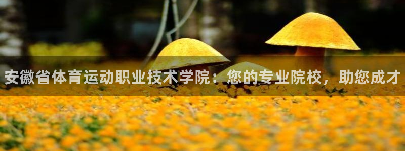 MK体育官方正版app集团官网网址：安徽省体育运动职