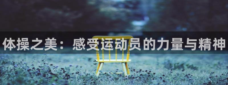 海南MK体育官网下载发展怎么样：体操之美：感受运动员