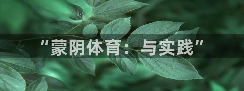 MK体育官方正版app集团官网网址