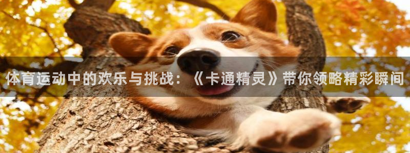 MK体育官网下载平台注册流程视频：体育运动中的欢乐与