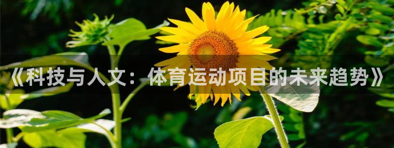 MK体育官网下载招商电话号码查询：《科技与人文：体育运动项目