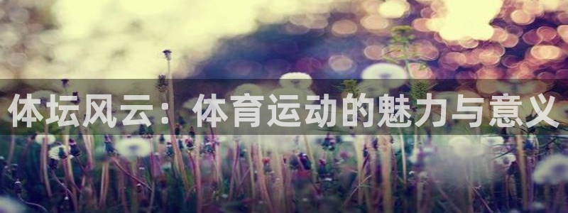 MK体育官方正版app娱乐代理怎么样：体坛风云：体育运动的魅