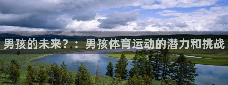 德国MK体育官方正版app集团：男孩的未来？：男孩体