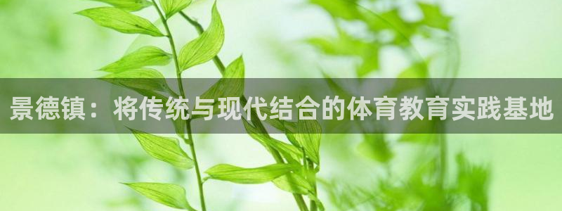  mk体育平台登录官网：景德镇：将传统与现代结合的体育教育实践