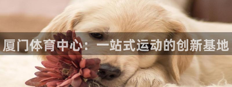  mK体育在线官网：厦门体育中心：一站式运动的创新基地