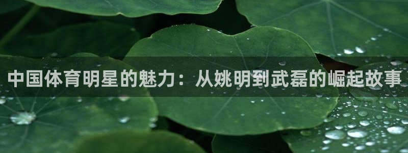 mk体育改名金年会：中国体育明星的魅