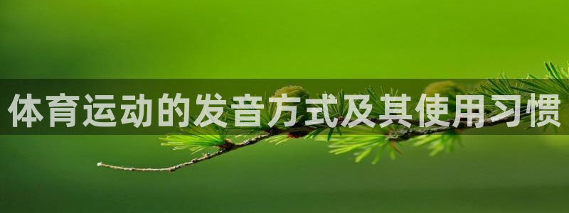 mk体育软件下载