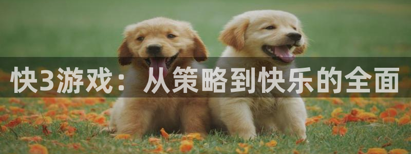 劲爆体育网络直播：快3游戏：从策略到快乐的全面