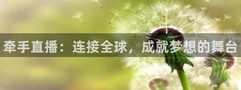 劲爆体育频道直播表：牵手直播：连接全球，成就梦想的舞台